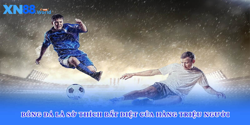 Bóng đá là sở thích bất diệt của hàng triệu người