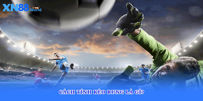 Cách tính kèo rung là gì?