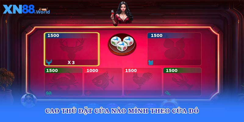 Cao thủ đặt cửa nào mình theo cửa đó